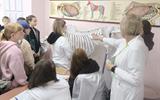 изображение_viber_2026-06-08_11-09-12-598