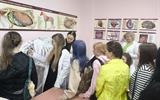 изображение_viber_2026-06-08_11-09-12-713