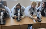 изображение_viber_2026-10-10_11-45-03-046